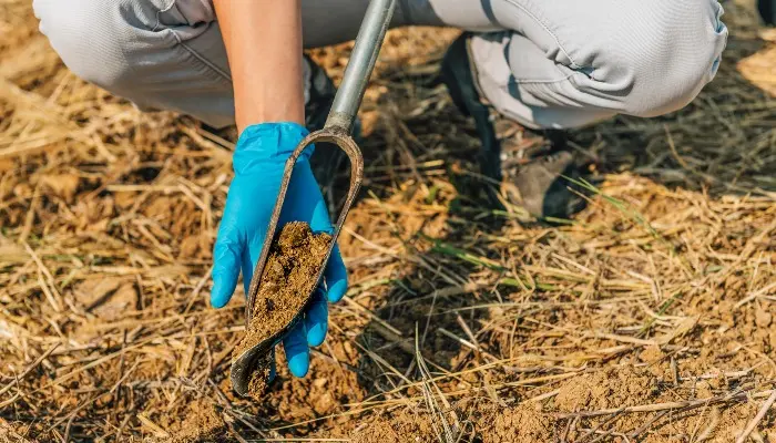 Registration open for Iowa Farm Bureau webinar featuring new ISU modeling to help farmers cut expenses and fine-tune spring nitrogen 