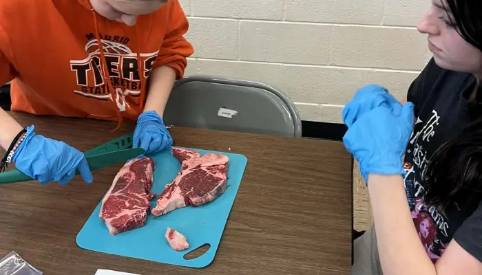  Where’s the beef? Bringing beef education into classrooms 