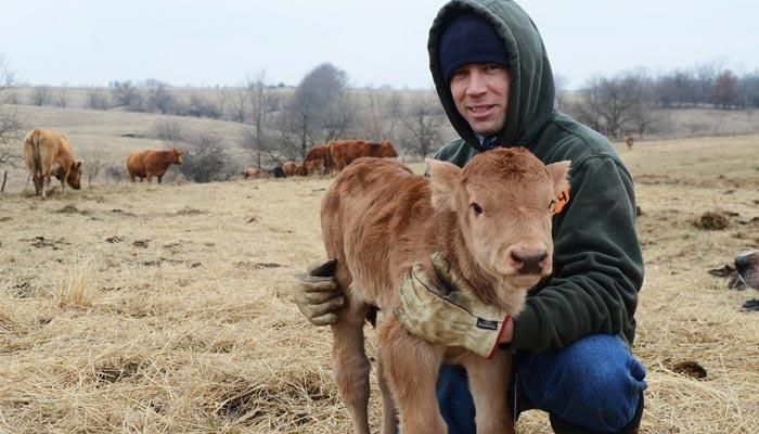 Calving Season