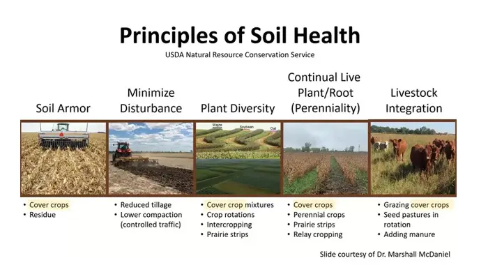 Soil Health