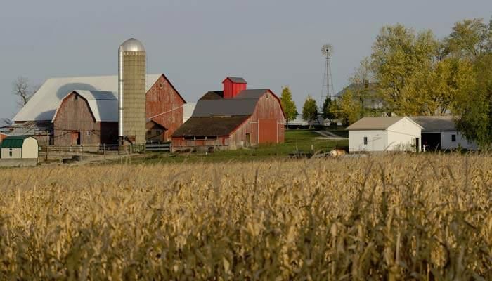 U.S. Net Farm Income Projected to Fall in 2026 