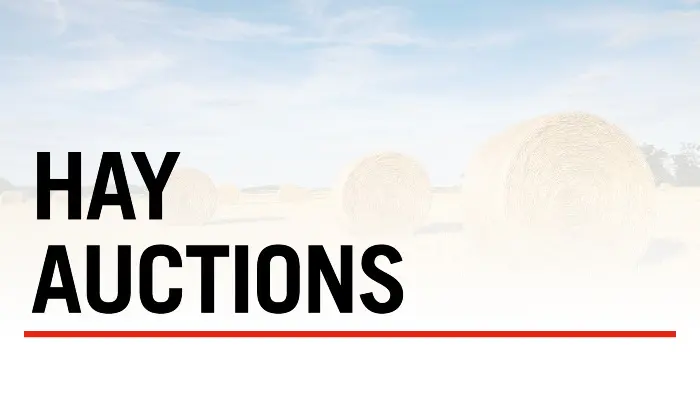 Hay Auctions