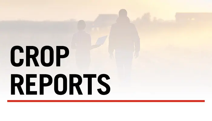 Crop Reports