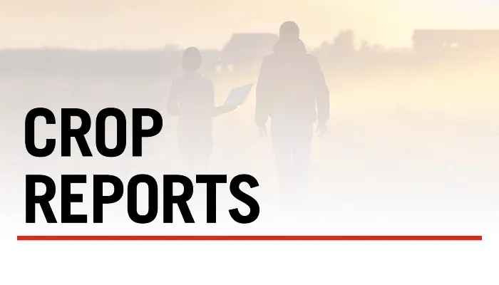 Iowa’s premier weekly crops reports 4-29-2026 