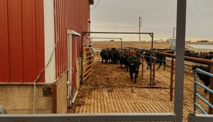 May is National Beef Month