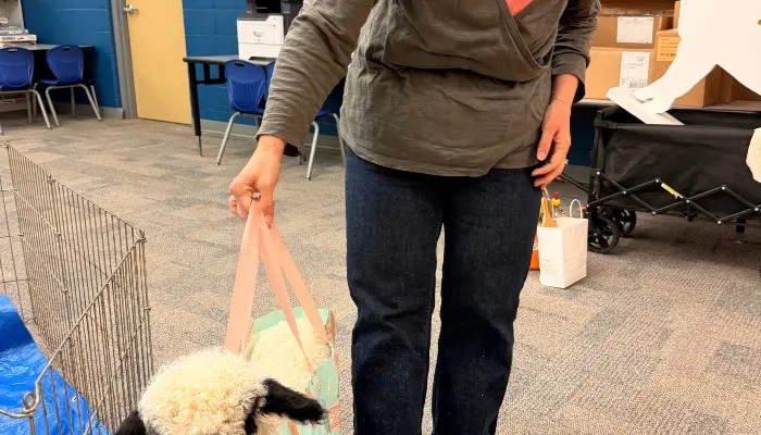 Ag in the Classroom visit brings unique sheep breed to Laura Ingalls Wilder Elementary