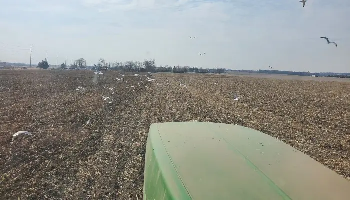 Snapshot of the Season