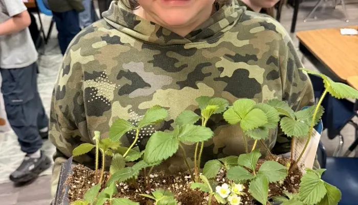 Strawberry lesson brings agriculture to life for local students