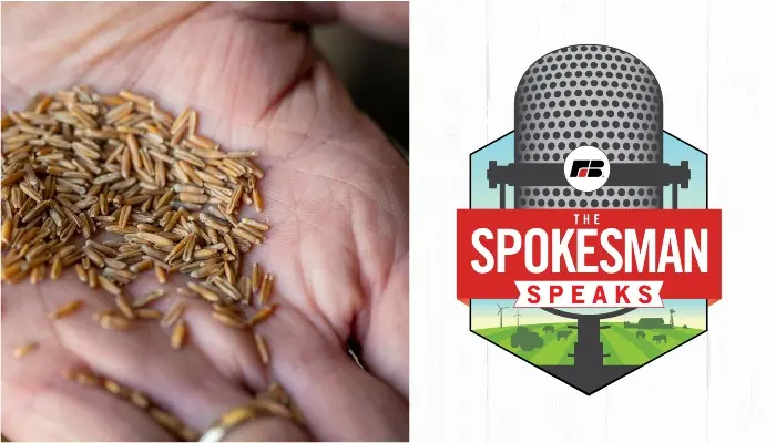 Kernza: Pros and Cons | The Spokesman Speaks Podcast, Episode 217