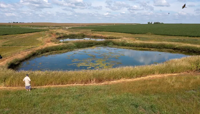 Wetland