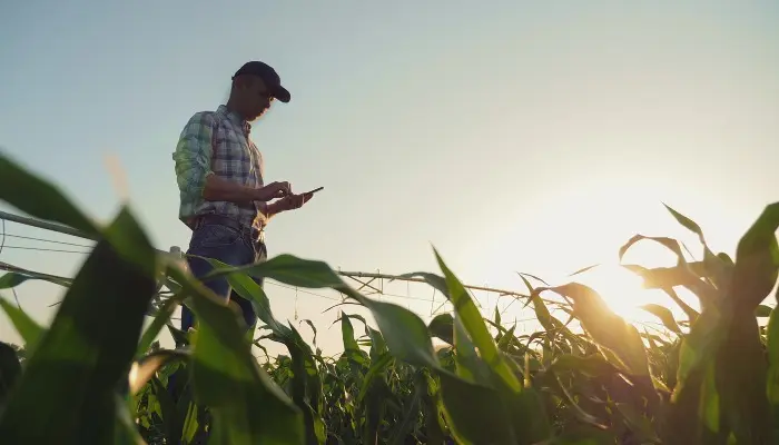 USDA allocating 30 million new base acres this summer 