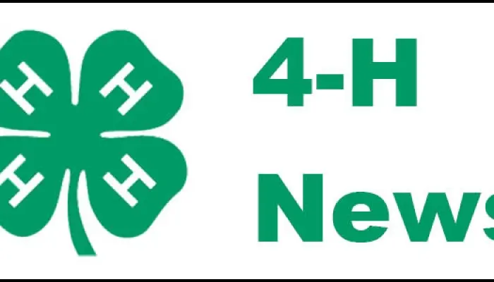 Tama County 4 H announces youth programs open to all