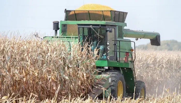 Corn exports surge as global demand broadens 