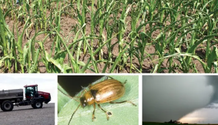 Financial stress building on farms 