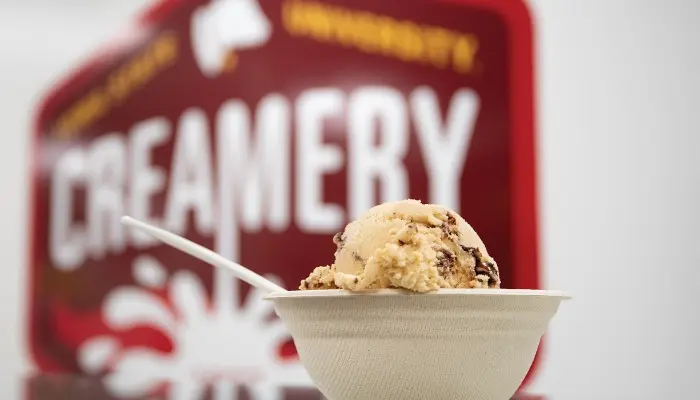 Is soft serve real ice cream? Here’s what dairy labels mean