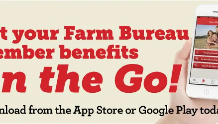 FB Benefits app available