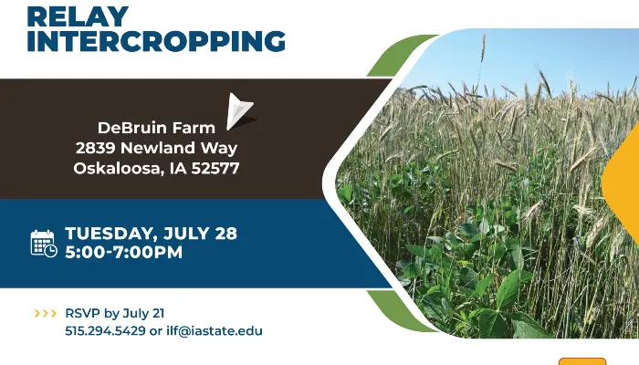 Iowa Learning Farms will host a relay intercropping field day near Oskaloosa on Tuesday, Jul. 28, from 5 to 7 p.m. at Lucas DeBruin’s farm. 