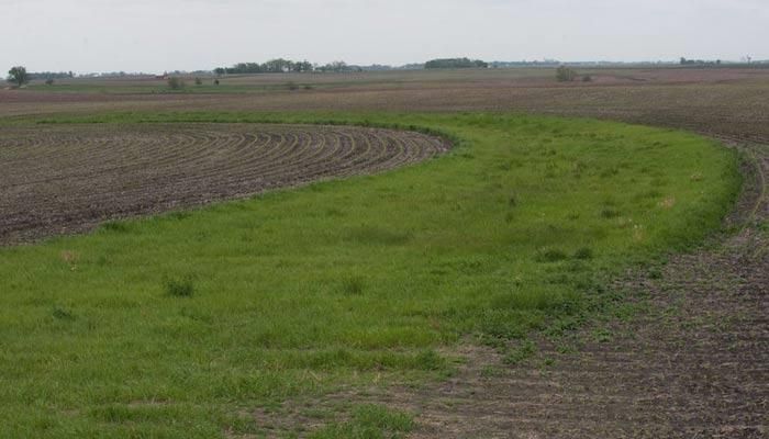 Upcoming conservation field days | August 21 update