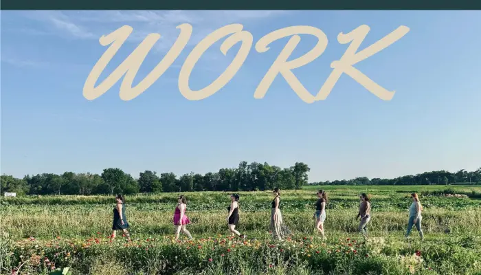 Fieldwork dance event to explore farming and local food