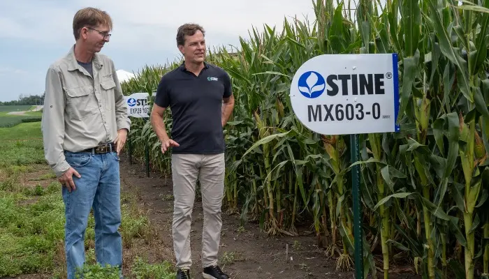 Stine’s search for yield uncovers unexpected benefit 