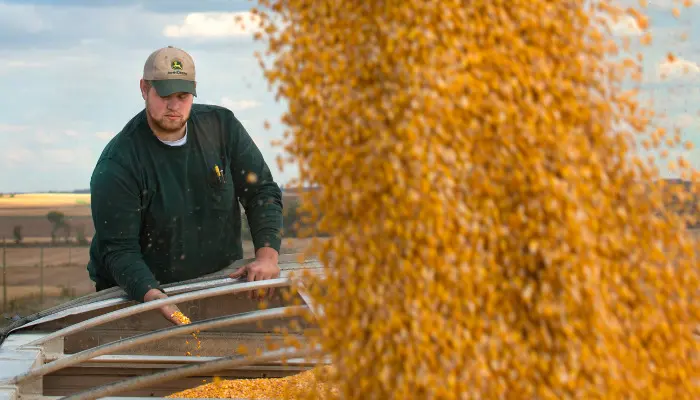 Writing a Post-Harvest Marketing Plan
