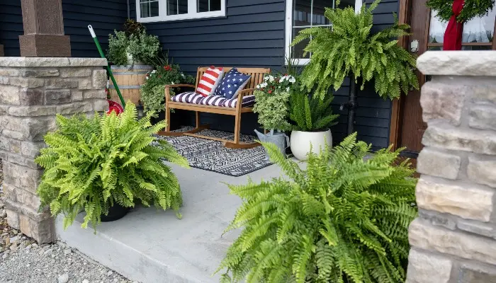 From patch to porch 