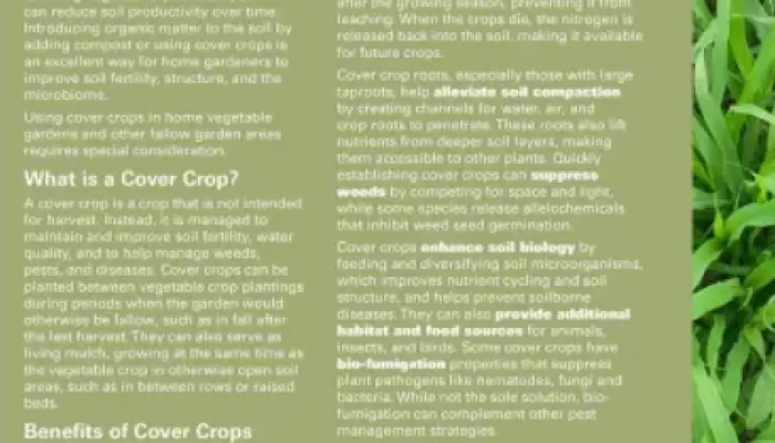 New guide shows how home gardeners can boost soil health with cover crops