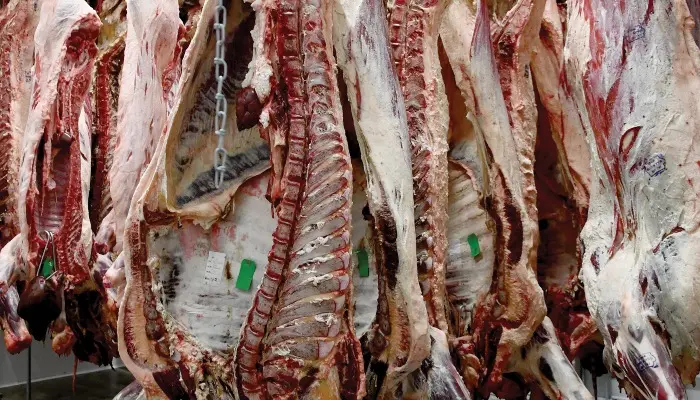 Building Relationships Key for Local Meat Processors 