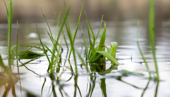 New WOTUS Rule Clarifies Federal Regulatory Reach 