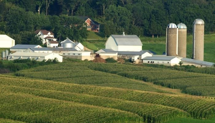Senate Panel Advances Farm Bill 