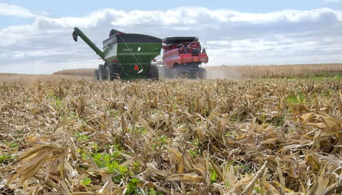 Upcoming conservation field days | September 25 update