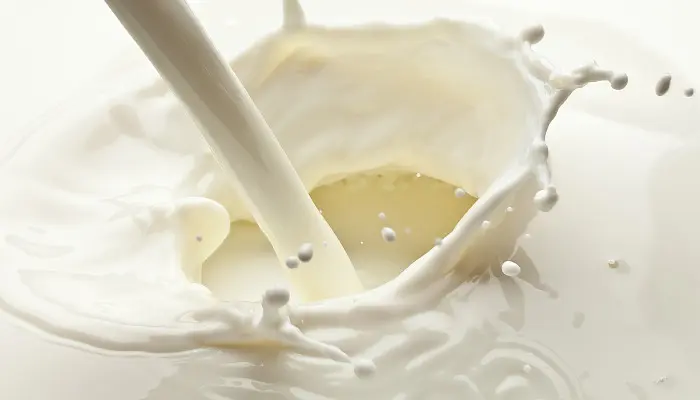 High Protein Milk