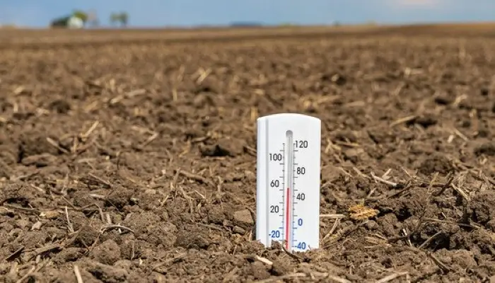 Wait for Dropping Soil Temps Before Fall Applying Fertilizer