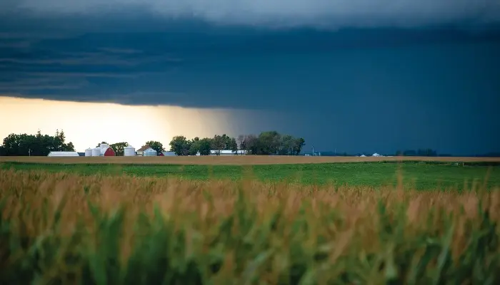 Preparing for Super El Niño: Protecting Water and Your Nutrient Investment (Webinar)