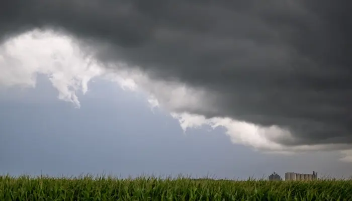 Iowa Farm Bureau webinar helps farmers protect nutrients leading up to historically strong El Niño