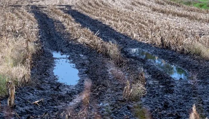 Crop Losses Caused by Weather May Trigger Insurance Claims