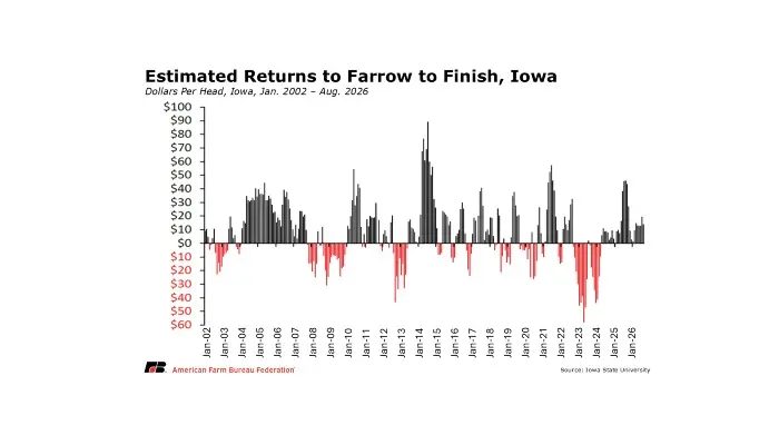 Hog Producers Face Tighter Margins Ahead 