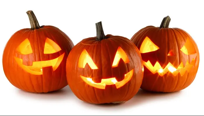 Pumpkins: Good for More than Just Carving