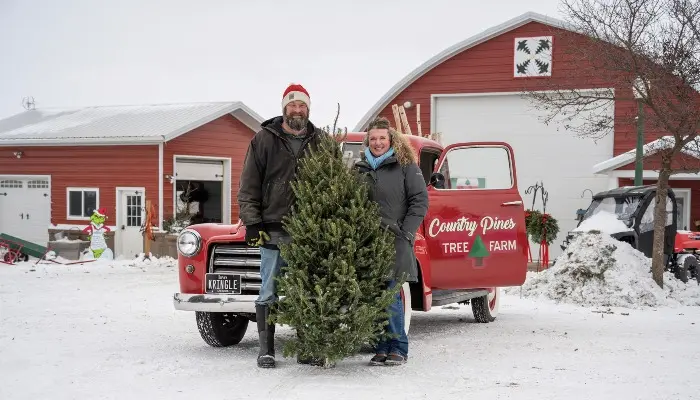 Growing Christmas spirit 