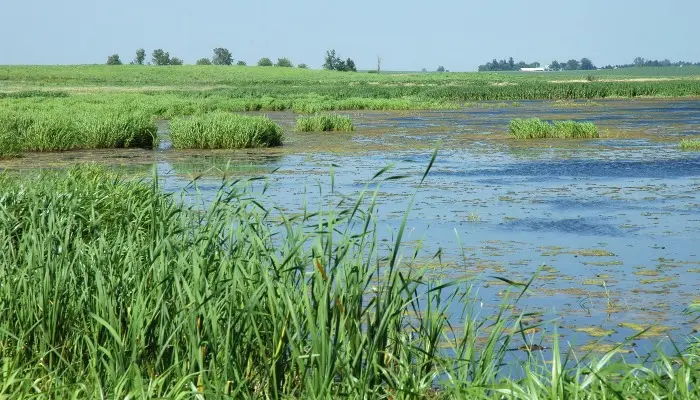 Farmers care about water quality