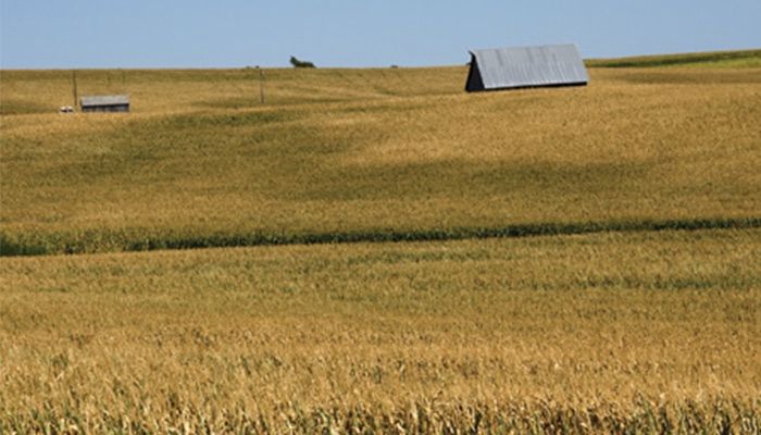 A necessary safety net for erratic weather