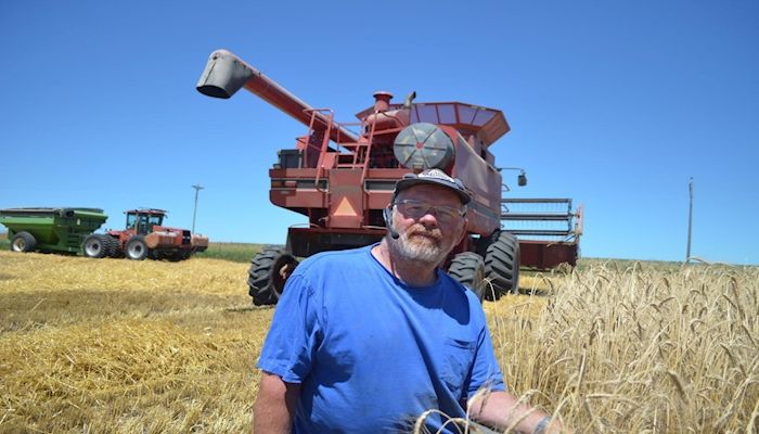 Hard red winter wheat rises and falls for Sioux County farmer