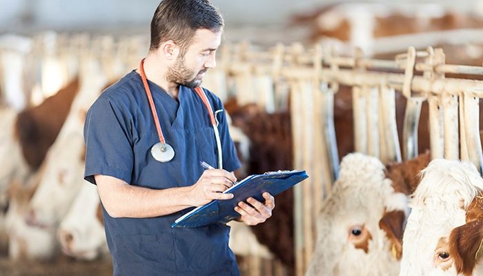 Veterinary Feed Directive (VFD) Educational Meeting - Emmetsburg