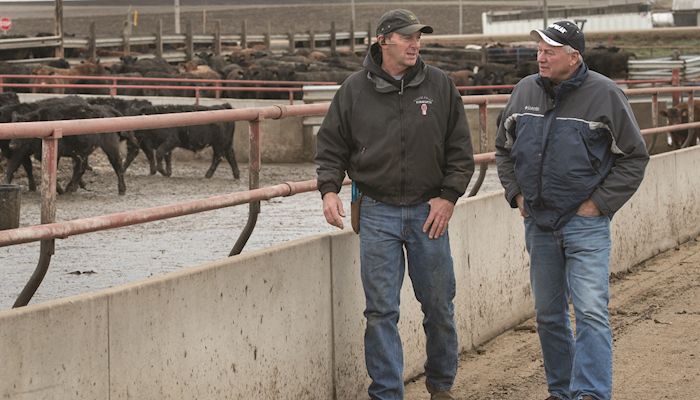 Livestock production is a powerful engine for Iowa’s economy