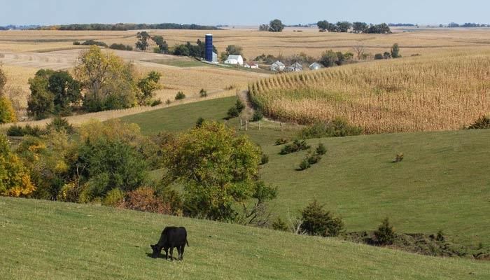 Iowa Ranked #1 Ag Production Per Square Mile