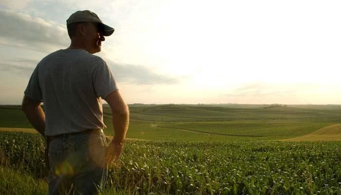 Land Used to Grow Top U.S. Row Crops 2016