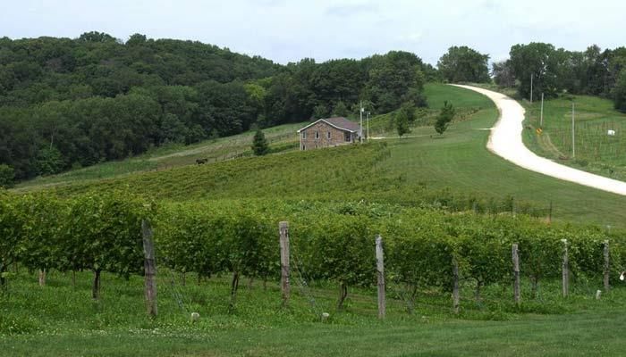 Iowa wine industry relies on next generation