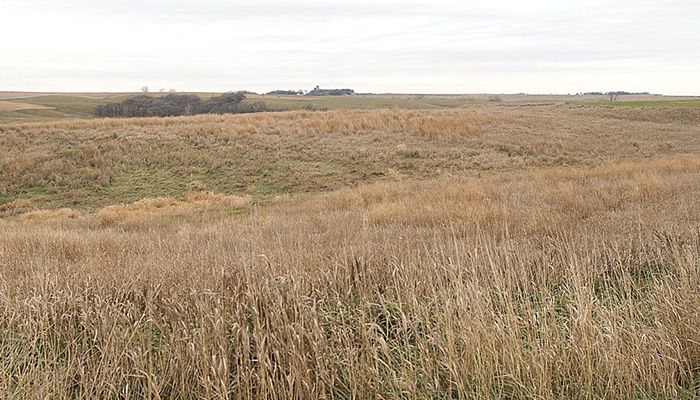 Iowa counties declared designated disaster areas