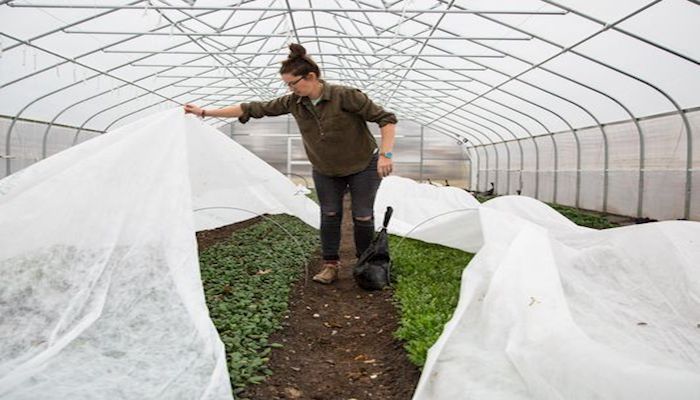 This urban farmer is changing the Des Moines foodscape