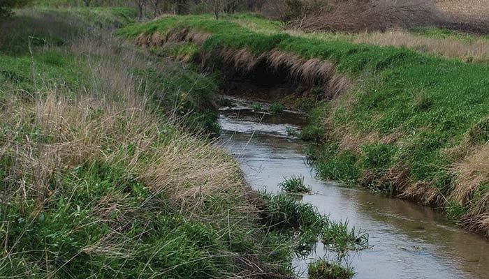 Continuous CRP Compared to Non-Irrigated Cropland Cash Rent